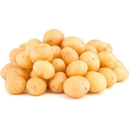 سیب زمینی ریز فروش عمده و قیمت به صرفه‌ مخصوص تنوری و سوخاری و آبپز